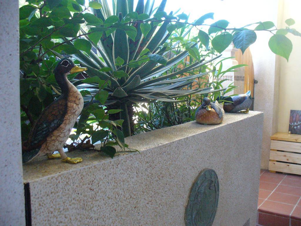 Alongs Garden Bed & Breakfast Hằng Xuân Cổ Trấn Ngoại thất bức ảnh